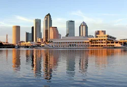 Tampa cruises February 2024